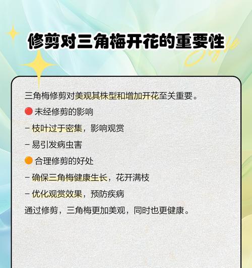 三角梅冬季修剪的最佳时机和方法是什么？