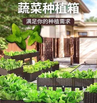 将军柱的浇水方法是什么？如何确保水分充足？