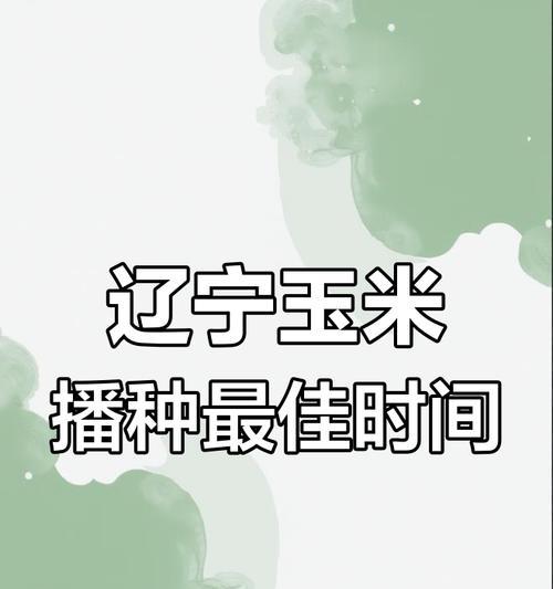 冬北玉米什么时候播种最佳？播种前需要准备什么？
