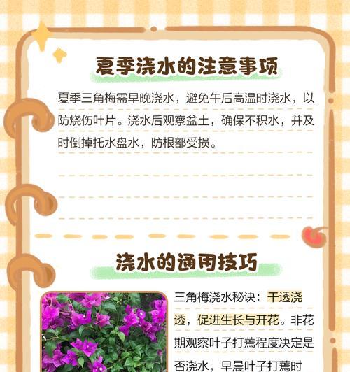 盆景肥水怎么浇水好呢？正确的浇水方法是什么？