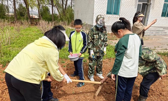 播种应讲些什么道理？播种前需要了解哪些基础知识？