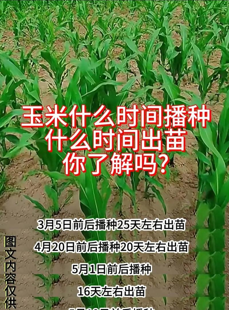 播种应讲些什么道理？播种前需要了解哪些基础知识？