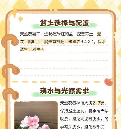 天竺葵换盆后如何正确养护？需要注意什么？
