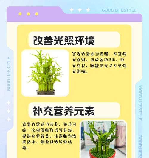 竹子叶子发黄如何促进新叶生长？