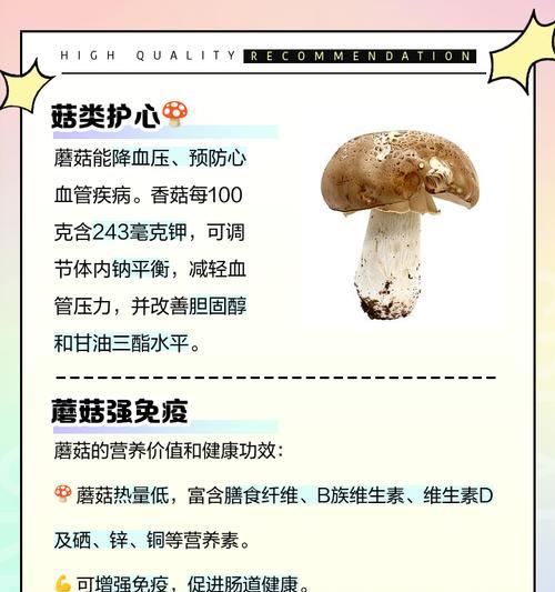 磨菇人工栽培技术要点有哪些？如何提高产量？