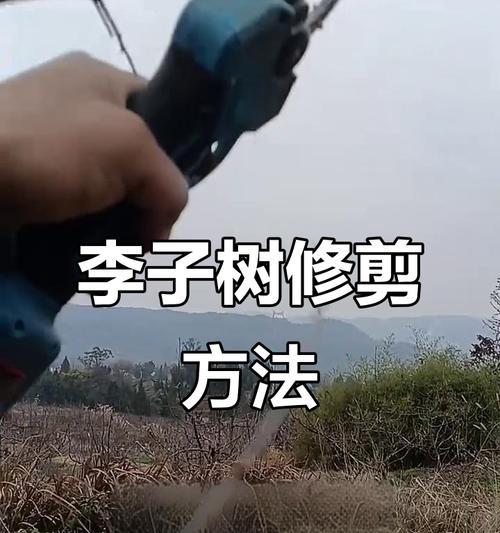 冬天水葫芦叶子发黄枯萎怎么修剪？修剪技巧是什么？