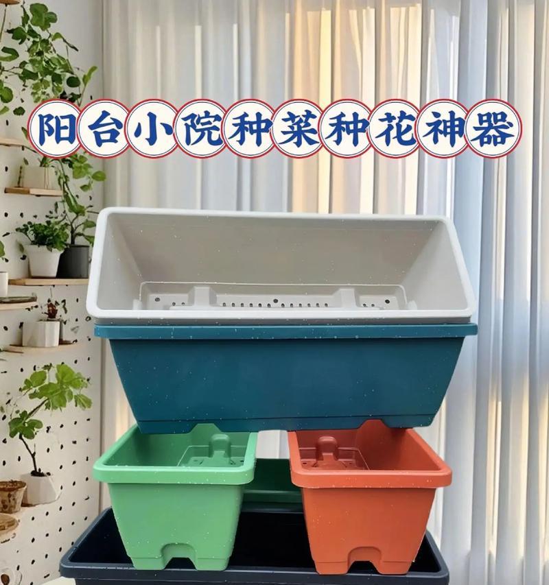 长方型花盆适合阳台种植的花卉有哪些？