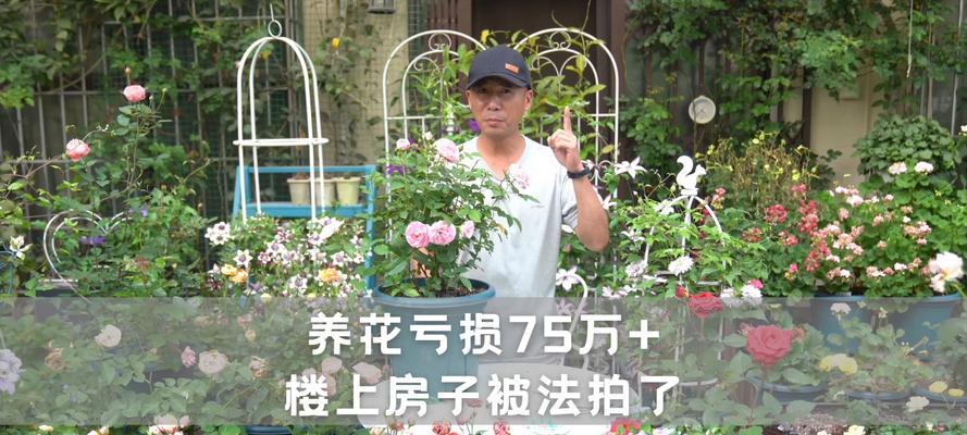 楼上养花放置技巧有哪些？