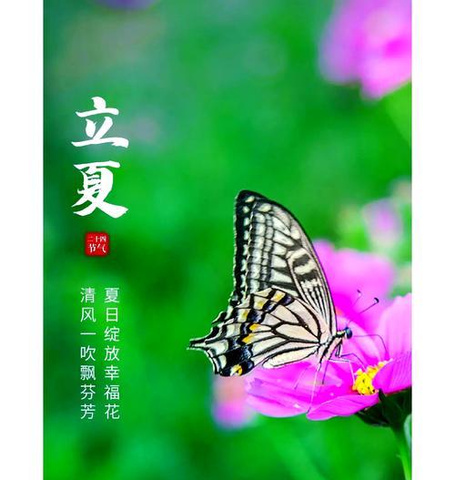 立夏时节适合播种哪些农作物？