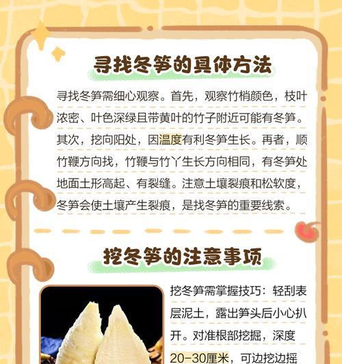 冬季芦笋栽培的关键技术要点是什么？