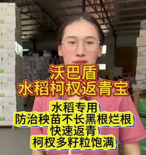 自制水稻返青叶面肥料的方法是什么？