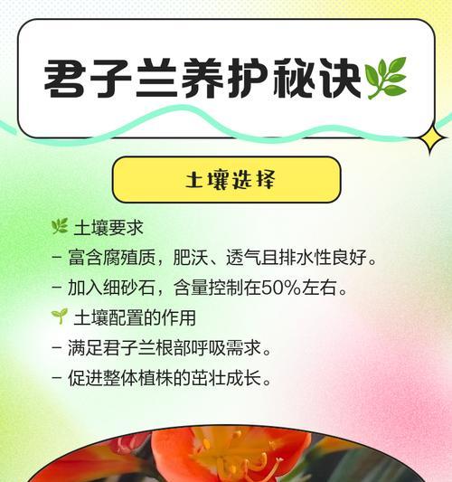君子兰使用薄膜的养护方法是什么？