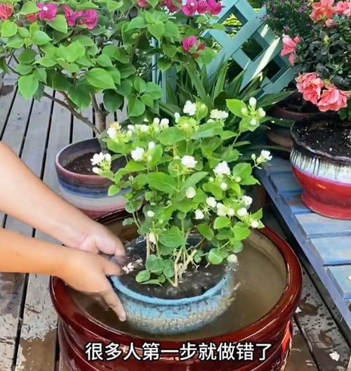 魔力浇水的正确使用方法是什么？