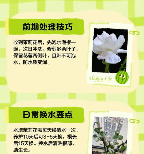魔力浇水的正确使用方法是什么？