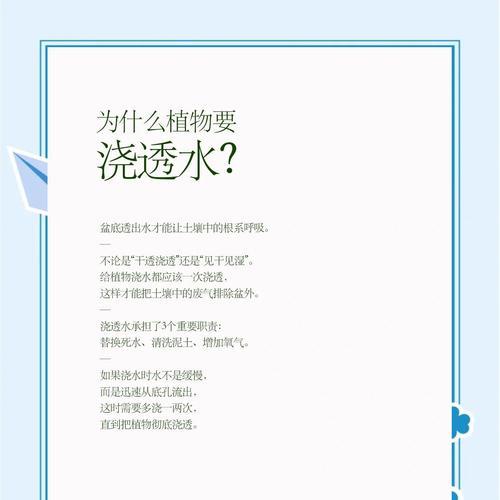 浇水的科学方法是什么？如何正确给植物浇水？