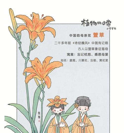 萱草花的花语是什么？它有什么寓意？