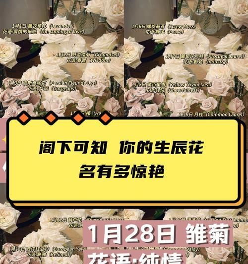 吊金钟的花语有何寓意？它代表了什么