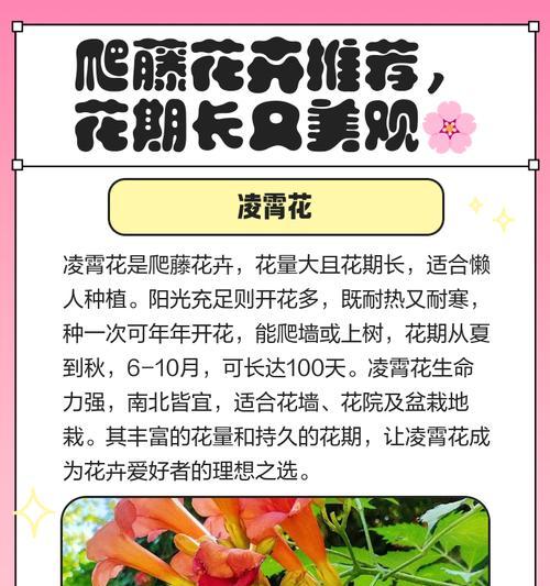 5月花期花卉代表的意义是什么？
