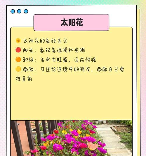 哪种花象征着重生？它的寓意是什么？
