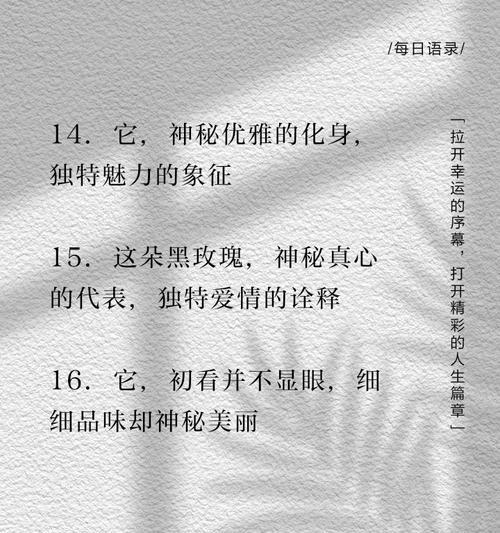 黑玫瑰的花语象征和寓意是什么？