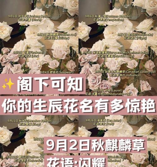 藕荷色花朵寓意何在？它代表了什么？