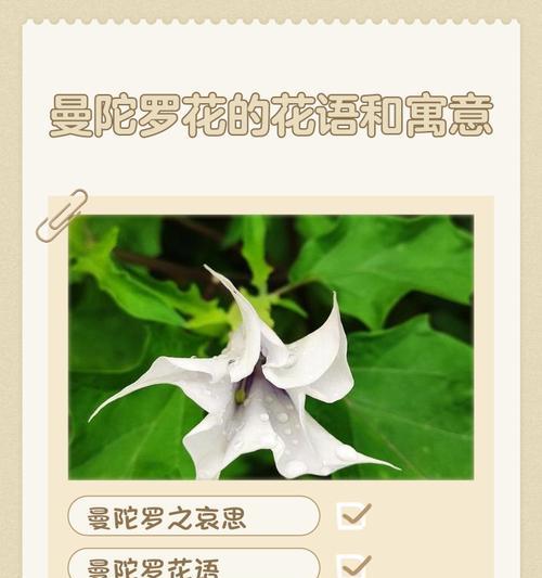 讨厌的花代表什么含义呢？这些花语背后隐藏着什么故事？