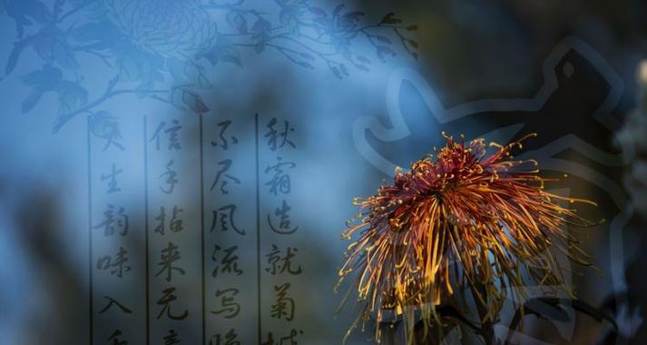 妙词生花象征什么？它有哪些代表意义？