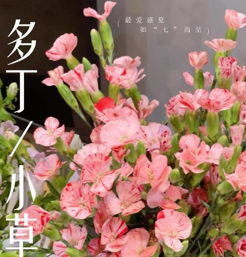 妙词生花象征什么？它有哪些代表意义？