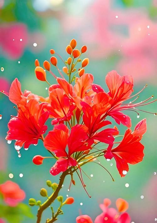 热情花朵的花语含义是什么？热情的花代表什么？
