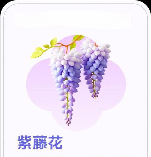 有雨添花的花语含义有哪些？