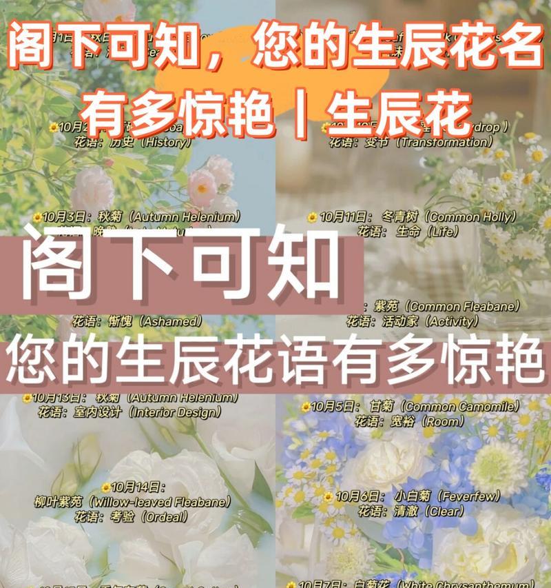 白银风铃花的象征意义是什么？