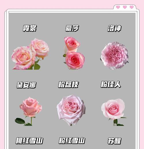 《都市花语》的含义是什么？如何解读其深层意义？