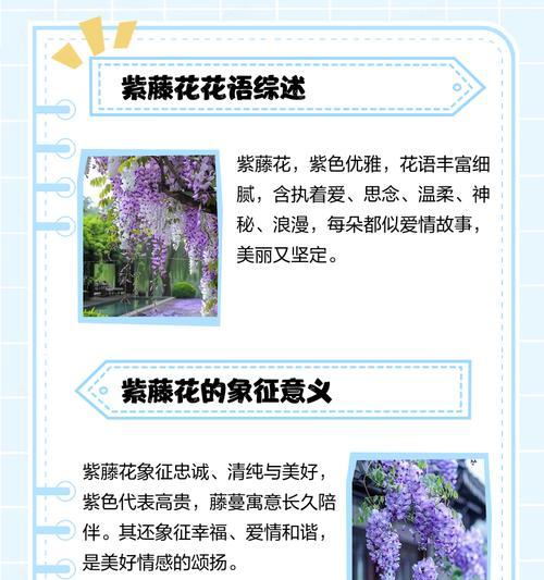 花的象征意义有哪些摘抄句子？哪些句子代表花的象征意义？
