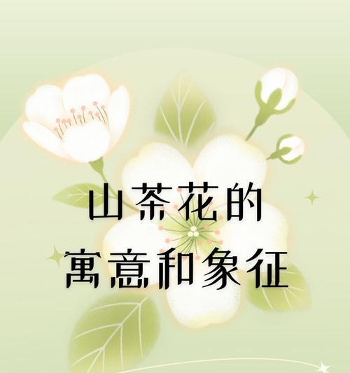 花的象征意义有哪些摘抄句子？哪些句子代表花的象征意义？
