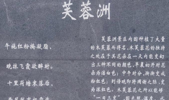 芙蓉花的花语是什么？它象征着怎样的意义？