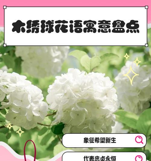 送戏子时花语背后的寓意是什么？
