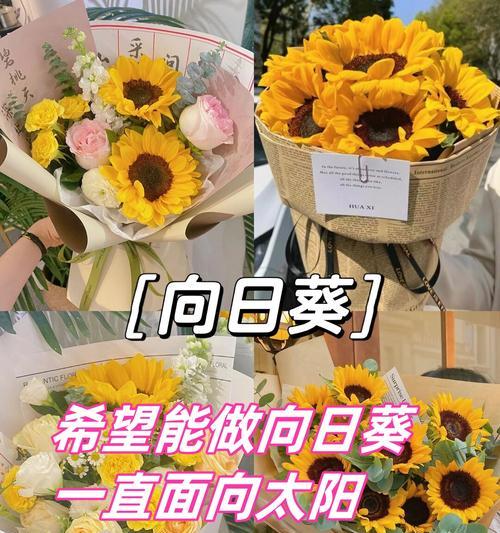 哪种花的花语象征阳光和希望？
