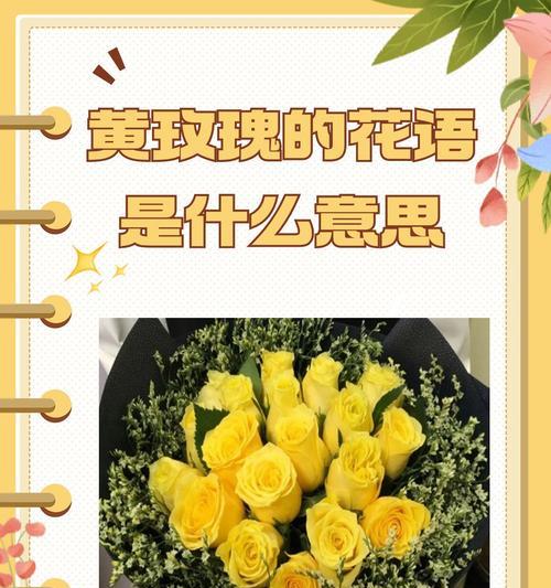 送花时如何选择？不同场合下应选择哪种花卉？