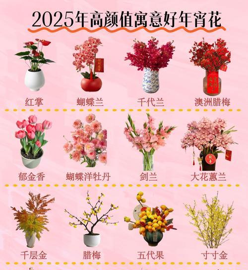 团圆的花有哪些？哪些花卉代表了家庭与团圆的寓意？