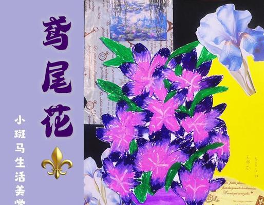 渐变色花朵有何特殊含义？它们象征着什么？