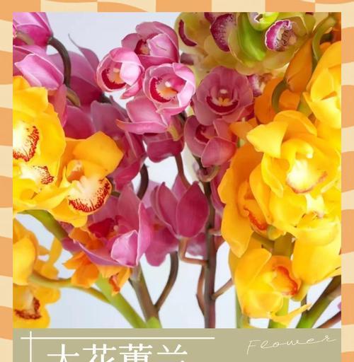 爱情吉兆的花语是什么？哪些花象征着爱情吉兆？