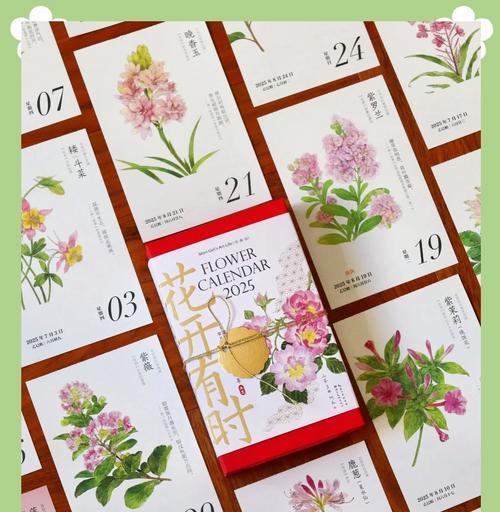 棉花的花语是什么？棉花在文化中的象征意义是什么？