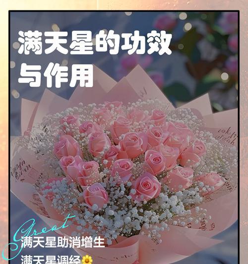 满天星的花语有哪些含义？