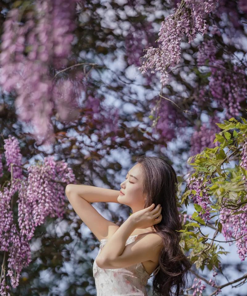 花卉如何传达深深的思念和怀念？
