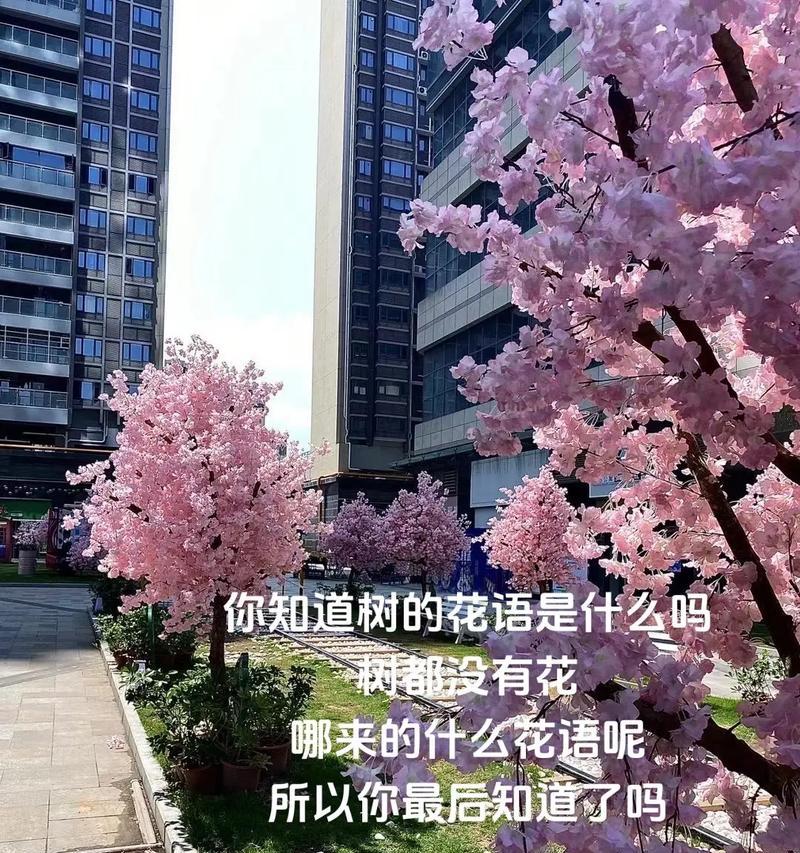 遗憾的花的花语和寓意有哪些？哪些花代表遗憾？