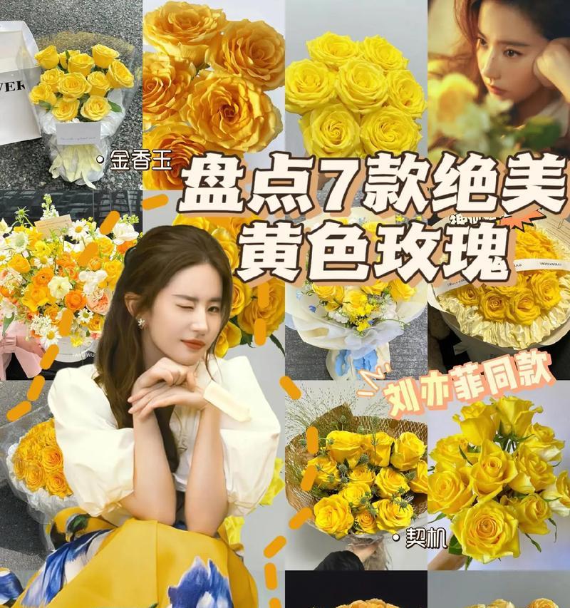 洛丽玛丝玫瑰代表什么？