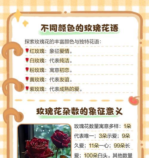 花的花语寓意是什么？如何挑选寓意好的花卉？