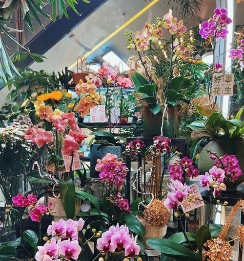 想开个花店的寓意是什么？花店名字如何体现花的寓意？