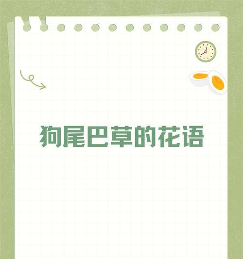 它的花语有哪些？