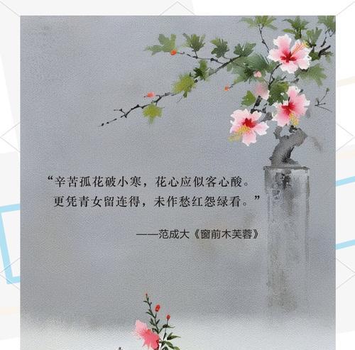 芙蓉花在婚礼中象征着什么？